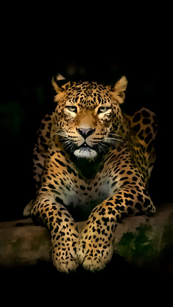Majestic Leopard 3D Wallpaper: Lifelike Design on Dark Background