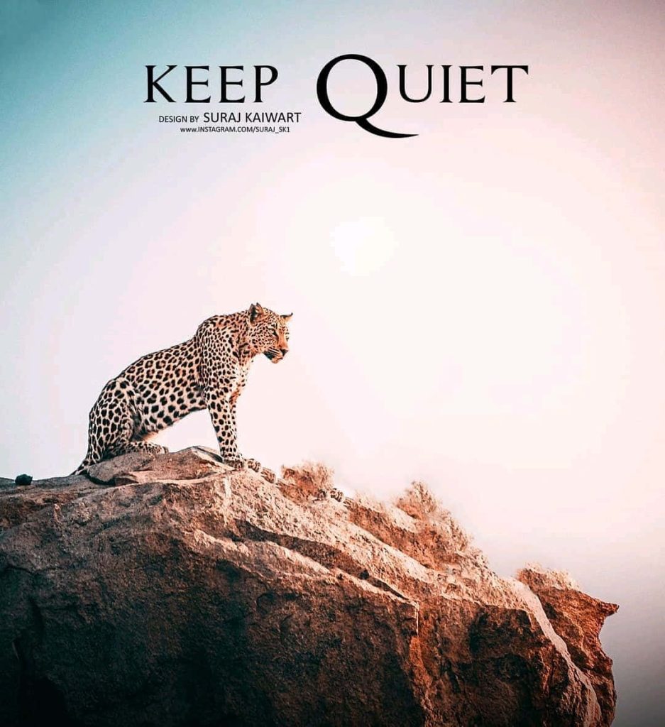 Majestic leopard on rock with Keep Quiet text bright hazy sky digital wallpaper background