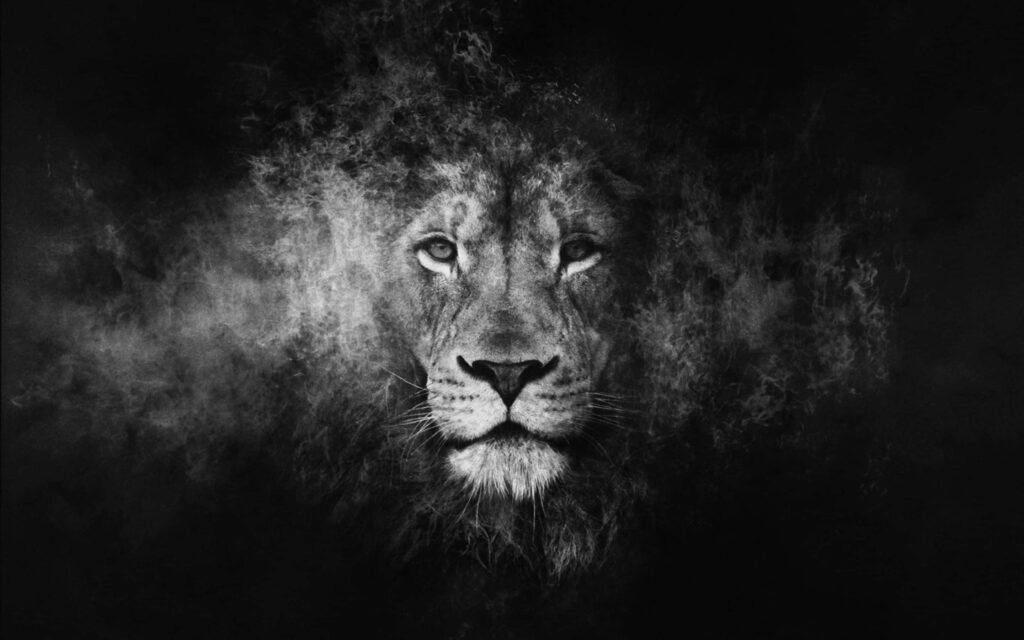 Majestic Lion's Face Wallpaper: Ethereal Black & White Background
