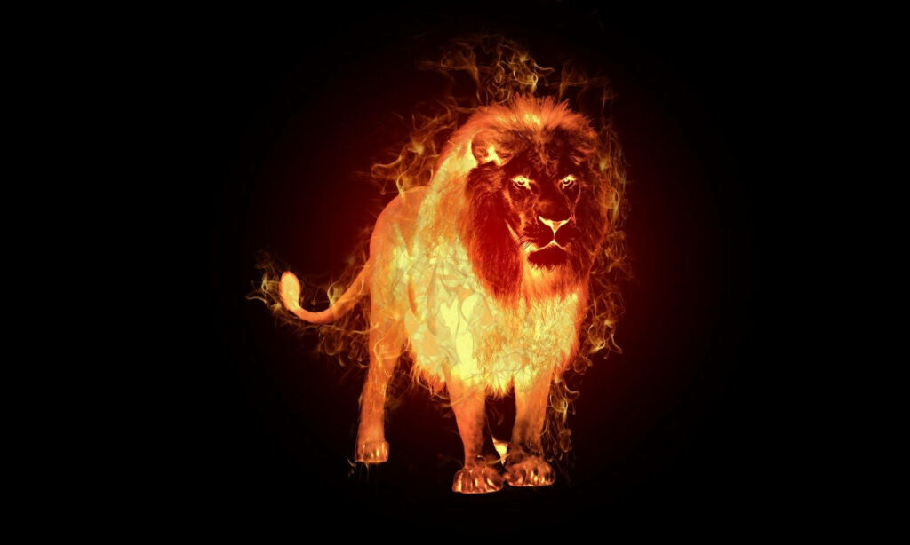 Majestic Lion in Fiery Flames: Captivating Black Background Wallpaper