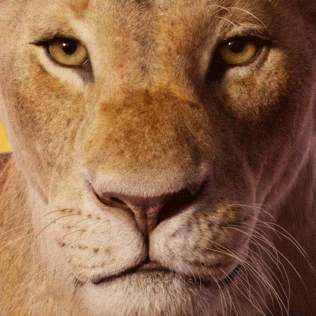 Majestic Lion Close-Up: Intense Gaze & Regal Brown Mane Wallpaper