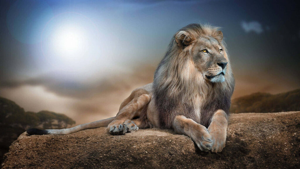 Majestic Lion Wallpaper: Lifelike 3D Design & Serene Background