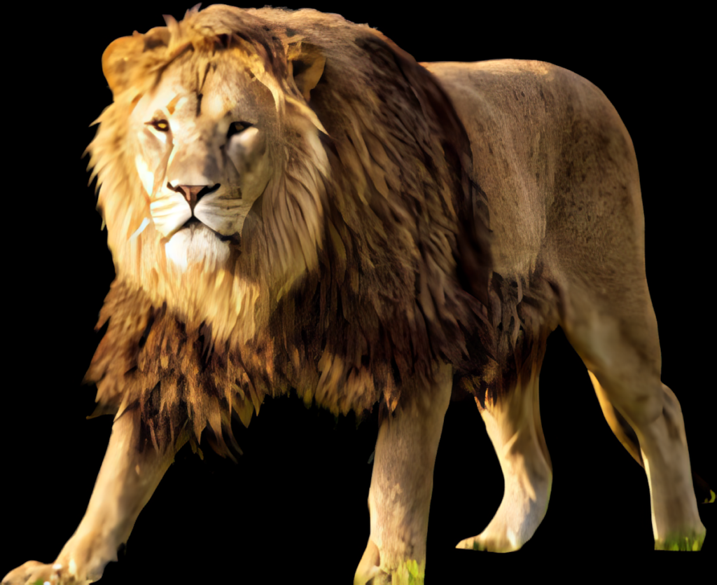 Majestic Lion Wallpaper: Powerful Elegance on Black Background