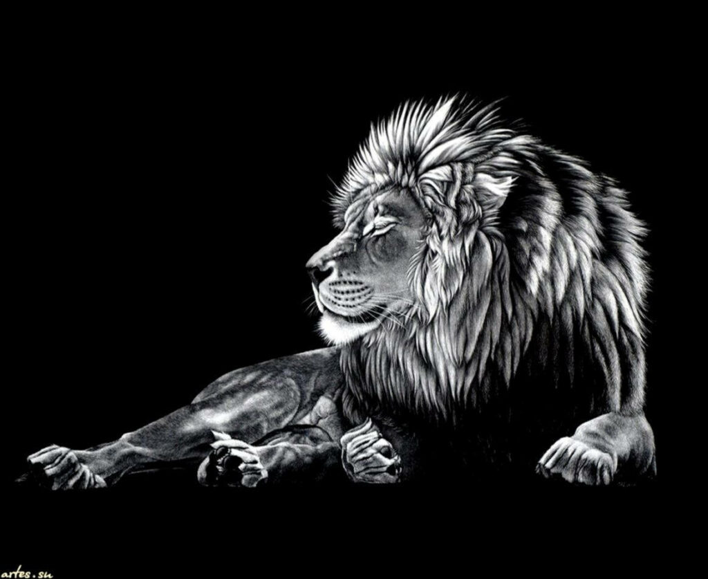 Majestic Lion Wallpaper: Strength & Nobility on Dark Background