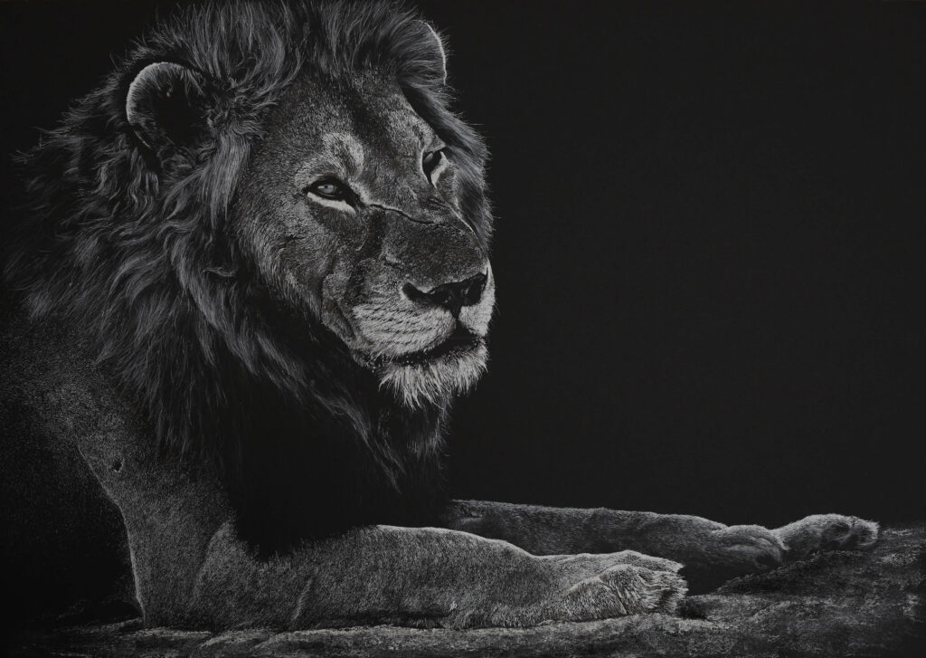 Majestic Lion Wallpaper: Strength & Wisdom on Dark Background