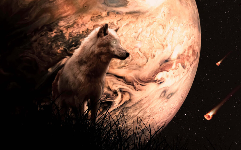 Lone Wolf in Celestial Forest: Mystical Night Sky Wallpaper
