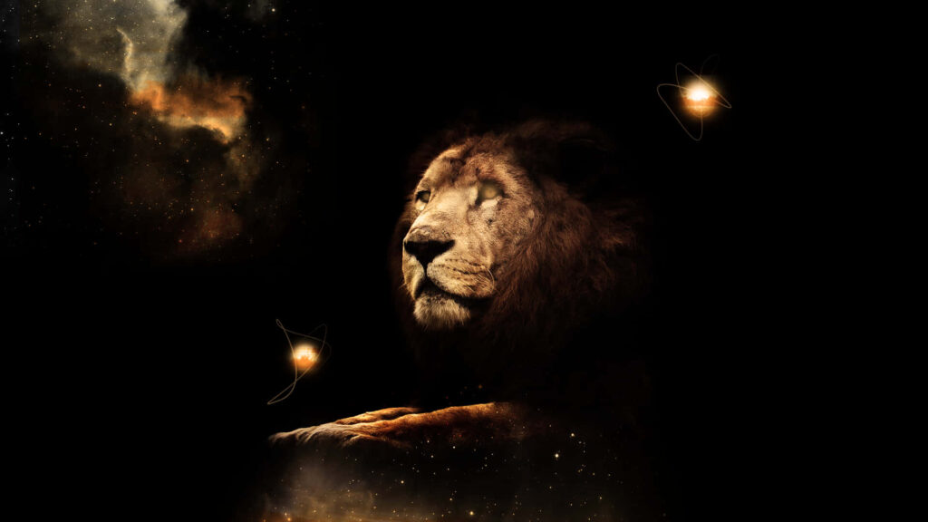 Majestic Male Lion Wallpaper: Strength & Pride Against Dark Background