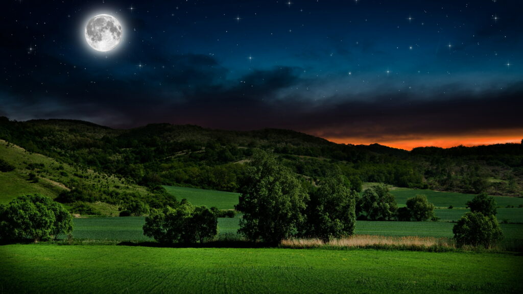 Midnight Serenade: A 4K Wallpaper Background Photo of Nature's Majestic Sky, Full Moon, and Grassland Landscape