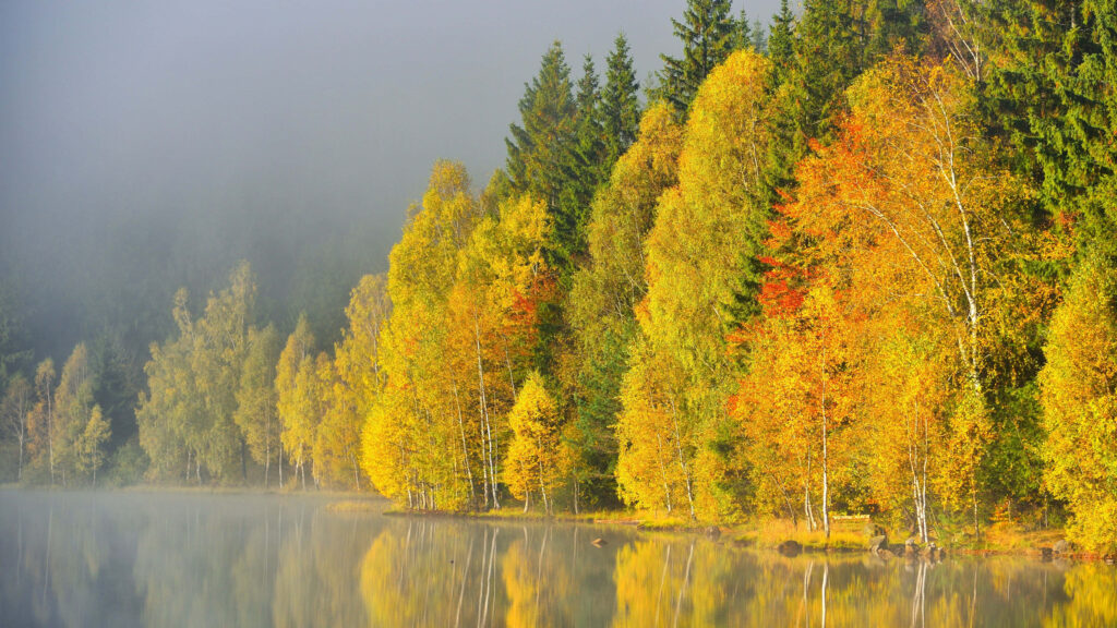 Majestic Mountain Range: Enchanting Foggy Morning with Vibrant Pink Light - 5120x2880 Background Wallpaper