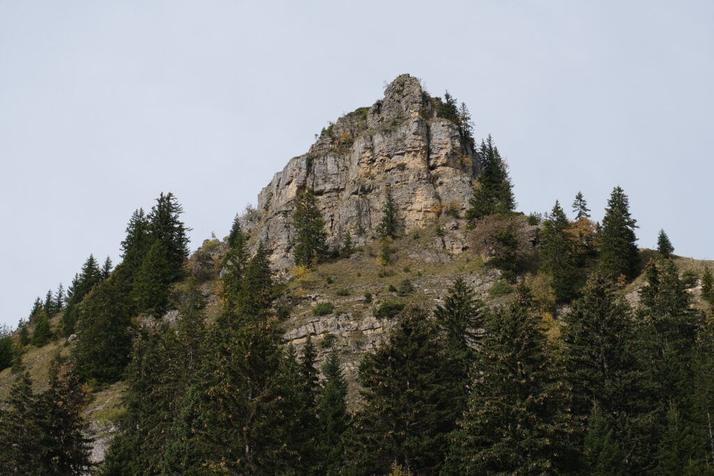 Majestic mountain with rugged rocks and dense evergreen forest scenic nature landscape wallpaper