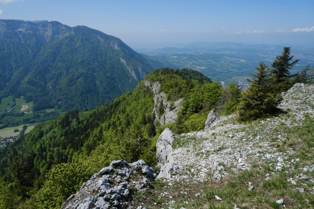 Majestic mountain landscape with rugged rocks dense green trees and expansive valley views wallpaper