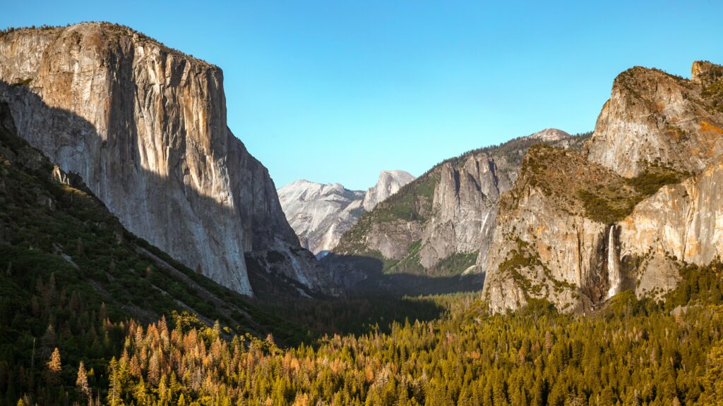 Majestic mountains and rugged rocks above lush forest bathed in sunlight under clear blue sky Wallpaper