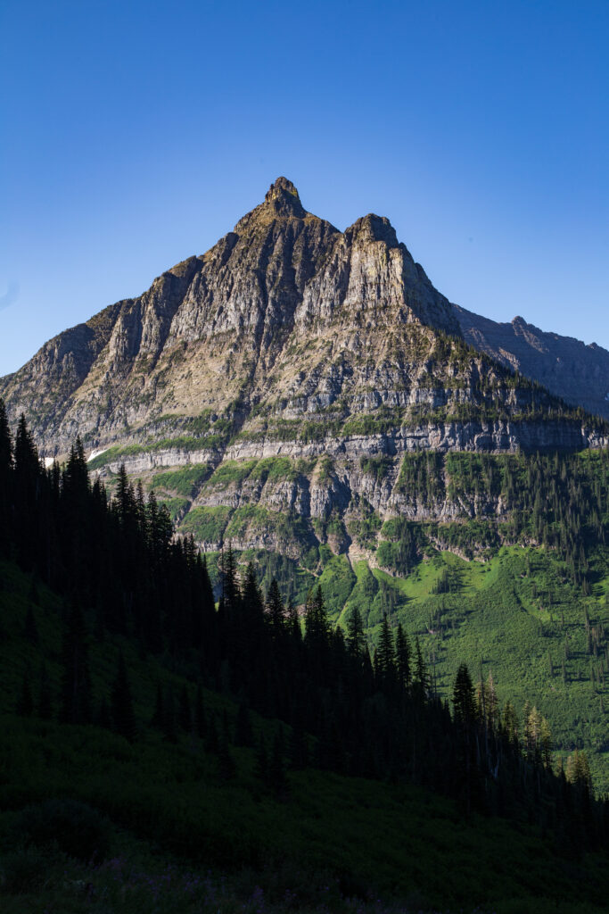 Striking mountain with rugged rocks and green forests under clear blue sky wallpaper background