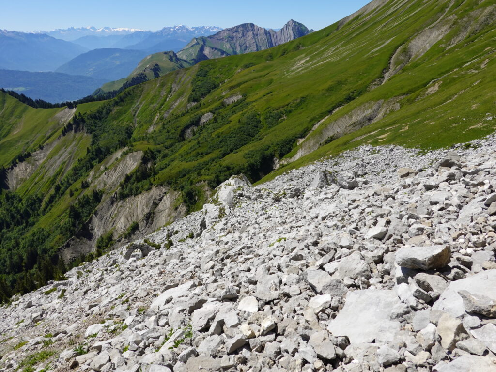 Mountain landscape wallpaper with rugged rocks lush green slopes and snow-capped peaks under blue sky