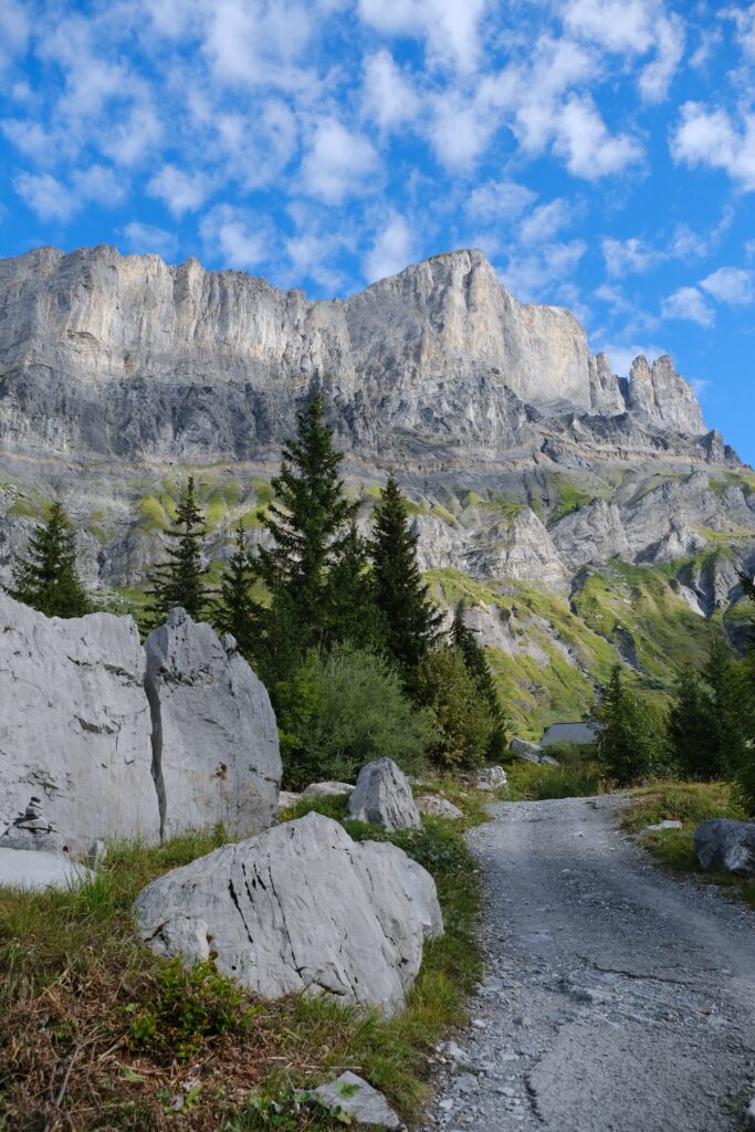Scenic mountain landscape wallpaper with winding trail gray rocks green pines and blue sky