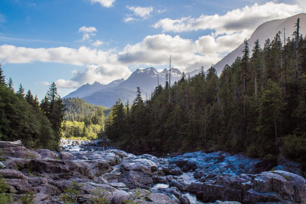 Serene wilderness landscape with evergreen trees rugged stones and majestic mountains under blue sky Wallpaper