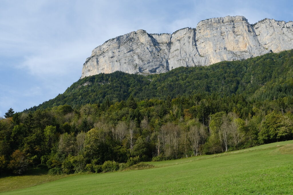 Majestic mountain with rugged rock faces above green forest and lawn under clear blue sky wallpaper