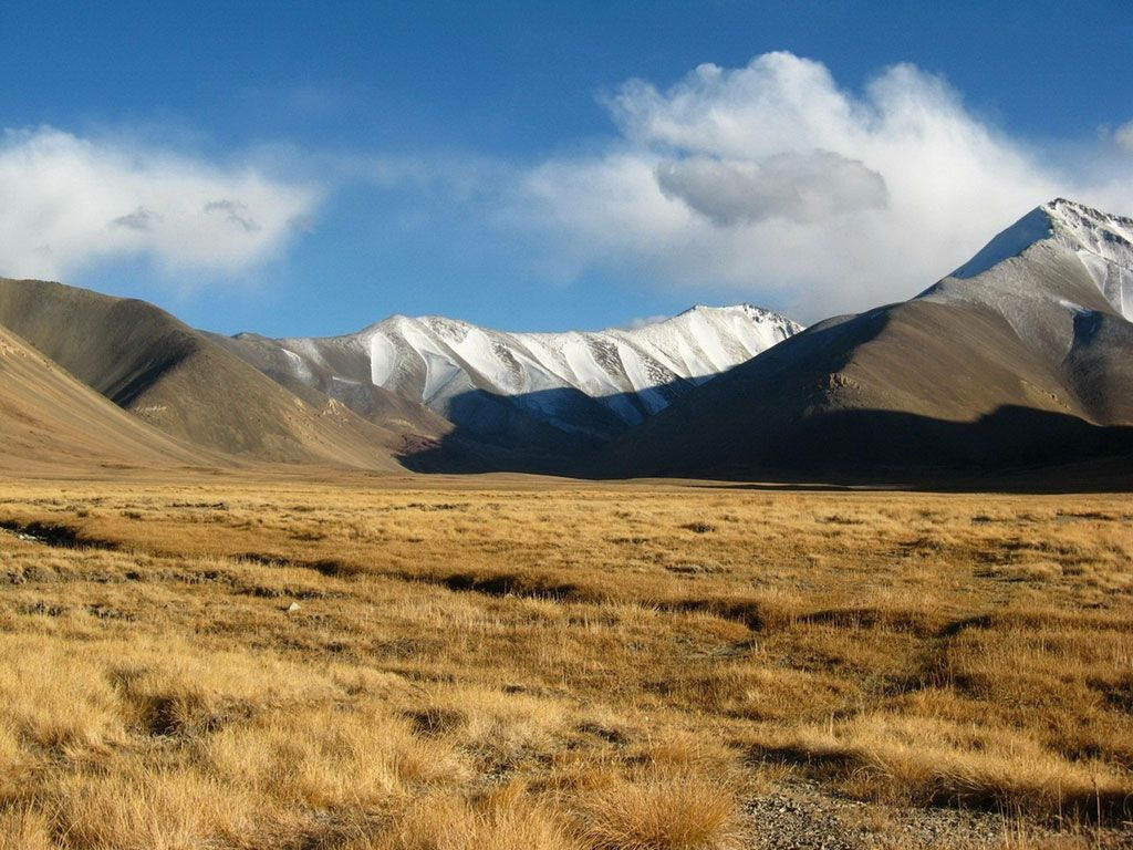 Serene Majesty: Captivating Tajikistan Landscape With Snow-Capped Mountain Amidst Sun-Kissed Meadows Wallpaper
