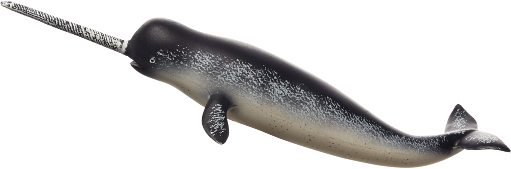 Stunning Narwhal Profile Wallpaper with Spiraled Tusk & Grey Skin