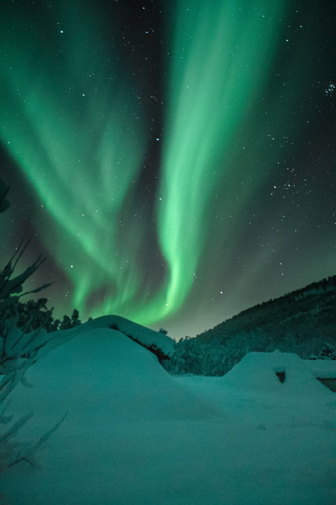 Vivid green Northern Lights over snowy winter landscape under starry night sky serene wallpaper