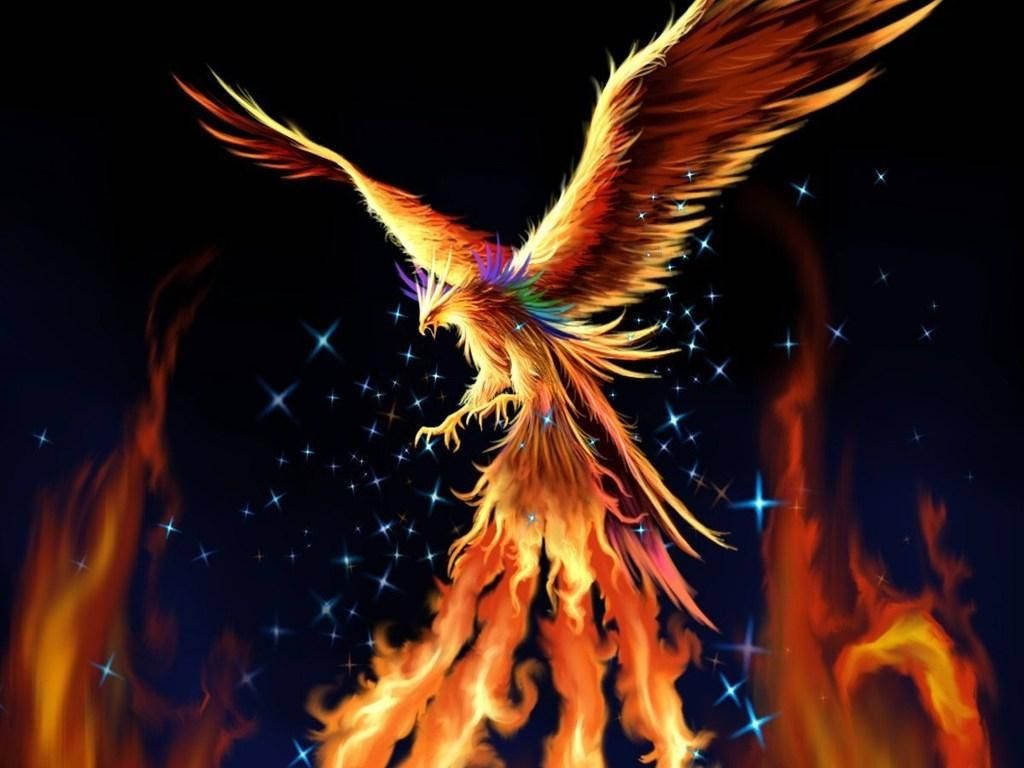 Majestic Phoenix fire wings digital wallpaper glowing plumage rising flames dark starry sky