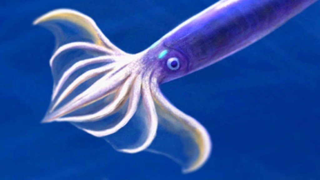 Majestic purple squid gliding gracefully in deep blue ocean with ethereal glow underwater wallpaper