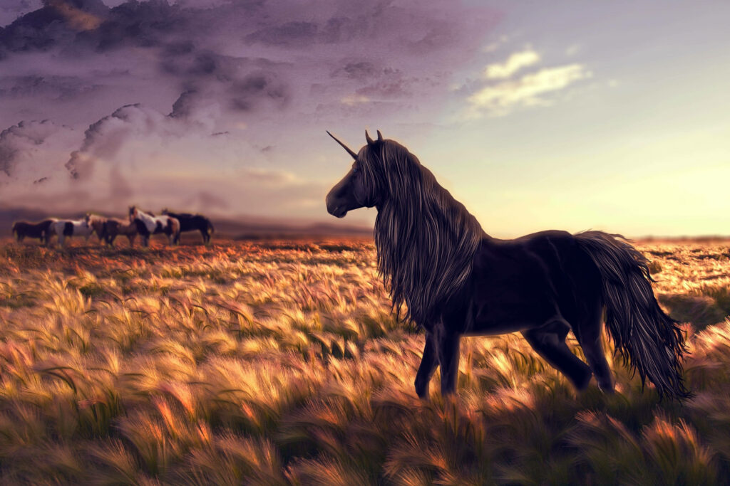 Black unicorn with flowing mane in golden wheat field at sunset fantasy wallpaper background