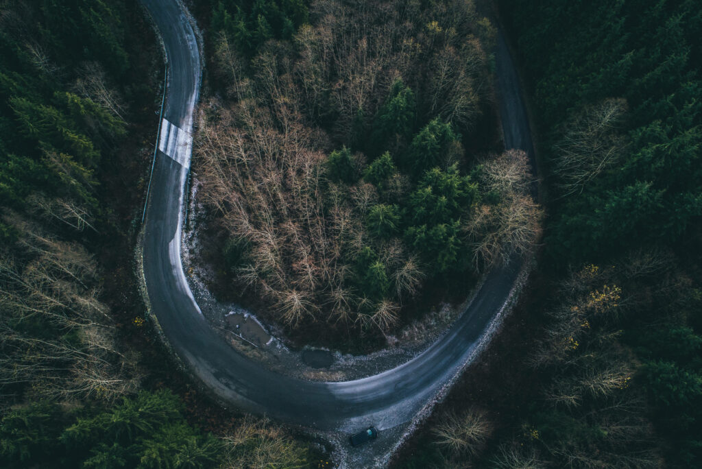 Enchanting Journey: A Scenic Roadside View of Majestic Green Forest Wallpaper