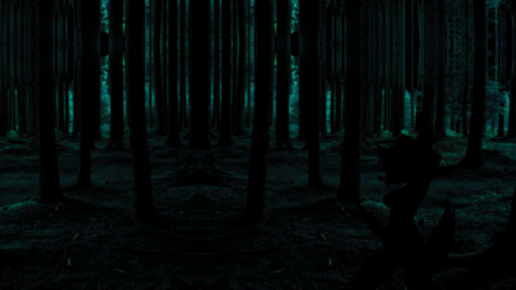 The Enchanting Canopy: Exploring the Mysteries of the Majestic Ancient Redwood Forest Wallpaper