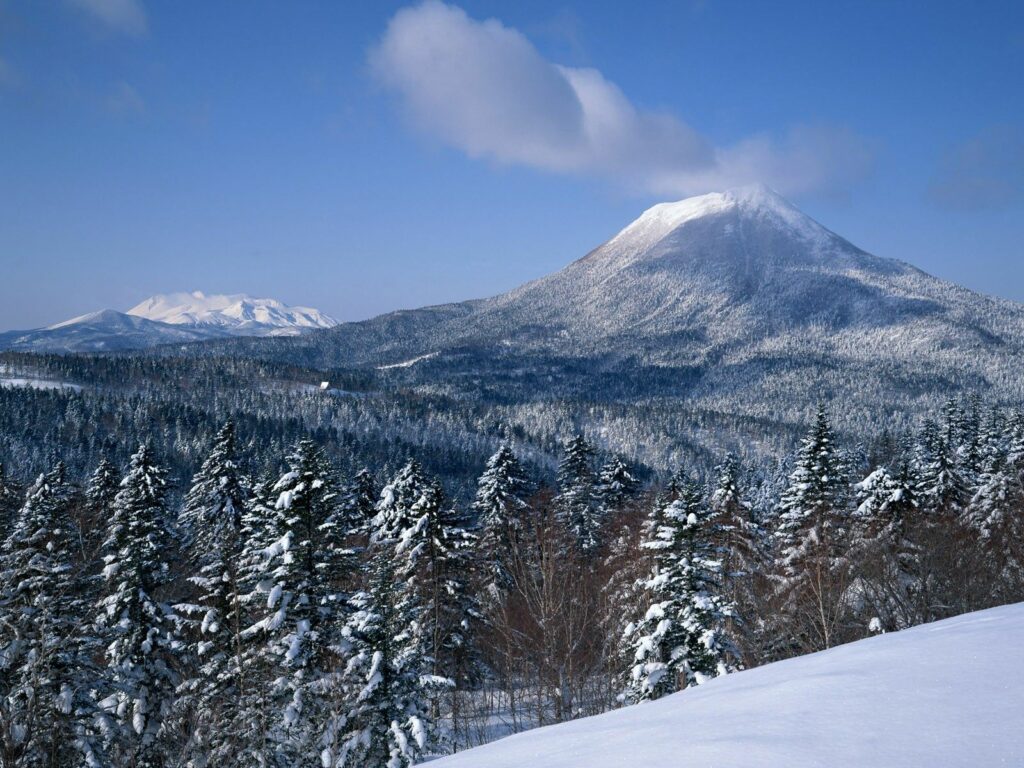 Snow-covered volcano above fir forest with clouds near peak under clear blue winter sky wallpaper