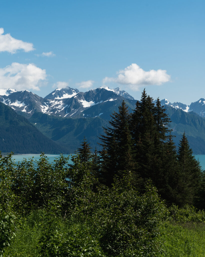 Snow-capped mountains above blue lake with lush green forest under clear vibrant sky wallpaper