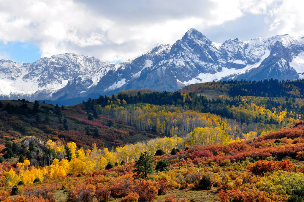 Snow-capped mountains above colorful autumn forest with golden orange green trees and hills Wallpaper