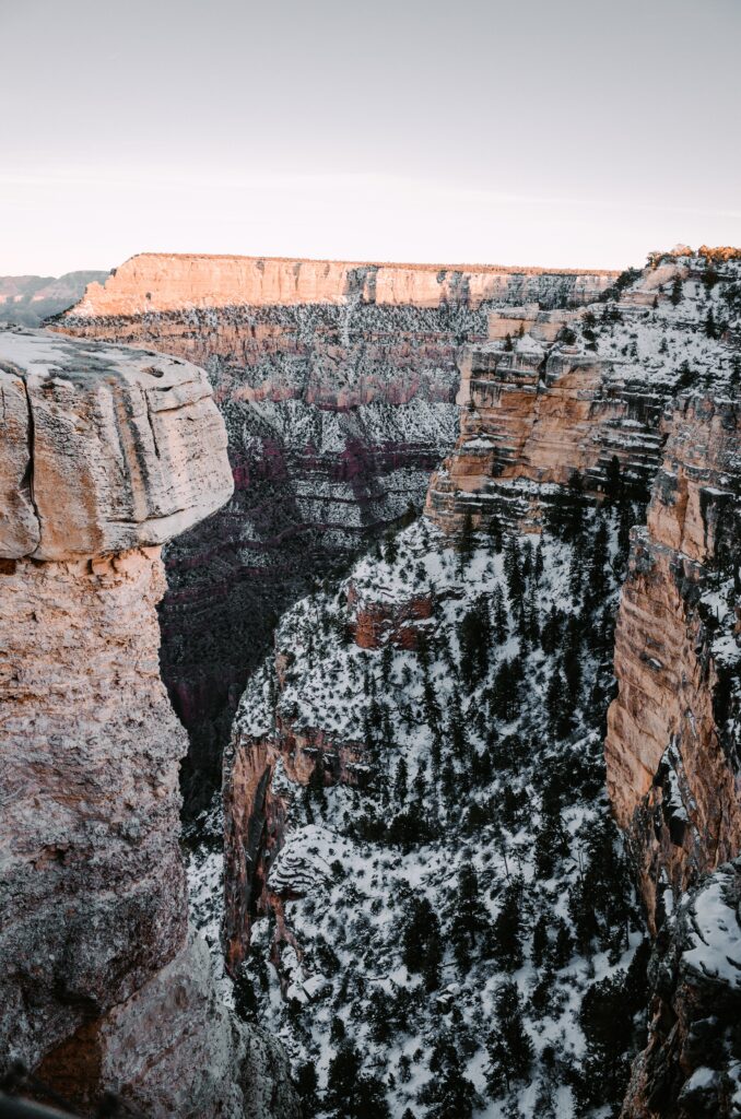 Majestic snow-covered canyon with golden cliffs and dark trees bathed in warm sunlight wallpaper