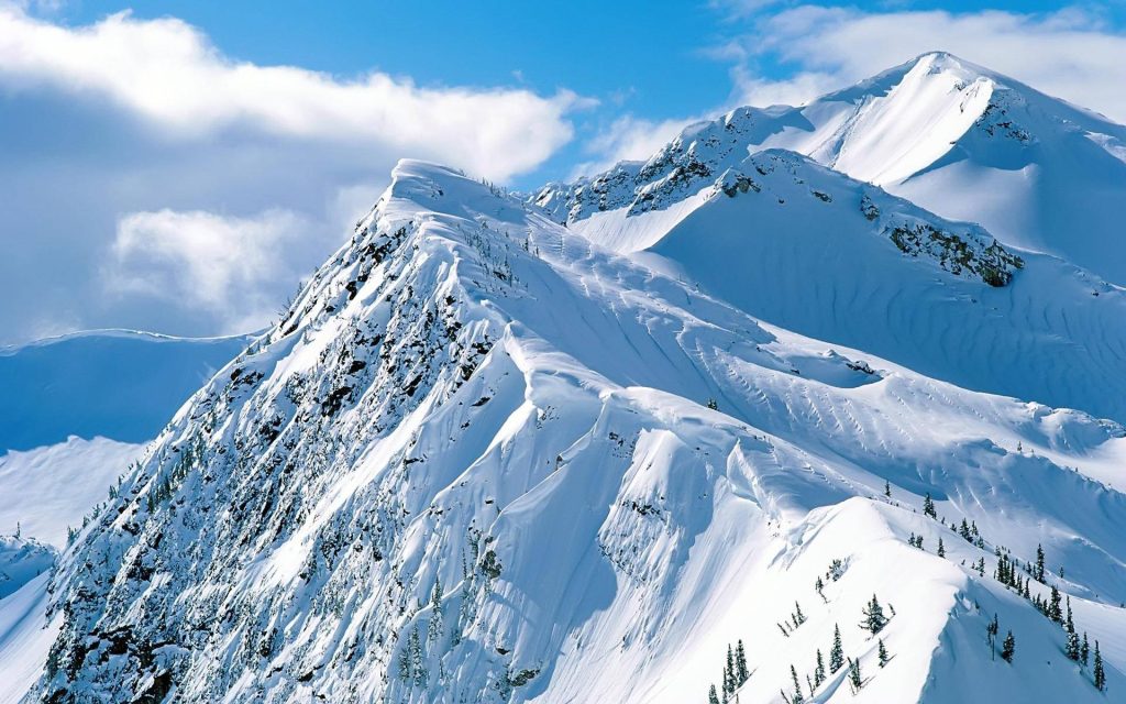 Aerial view of snow-covered jagged mountain ridge with evergreen trees under clear blue sky Wallpaper