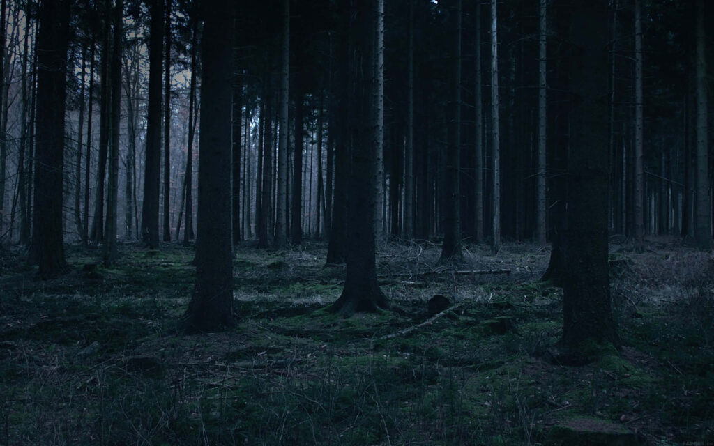 Captivating Serenity: Embrace the Enigmatic Charm of the Dark Green Forest Wallpaper