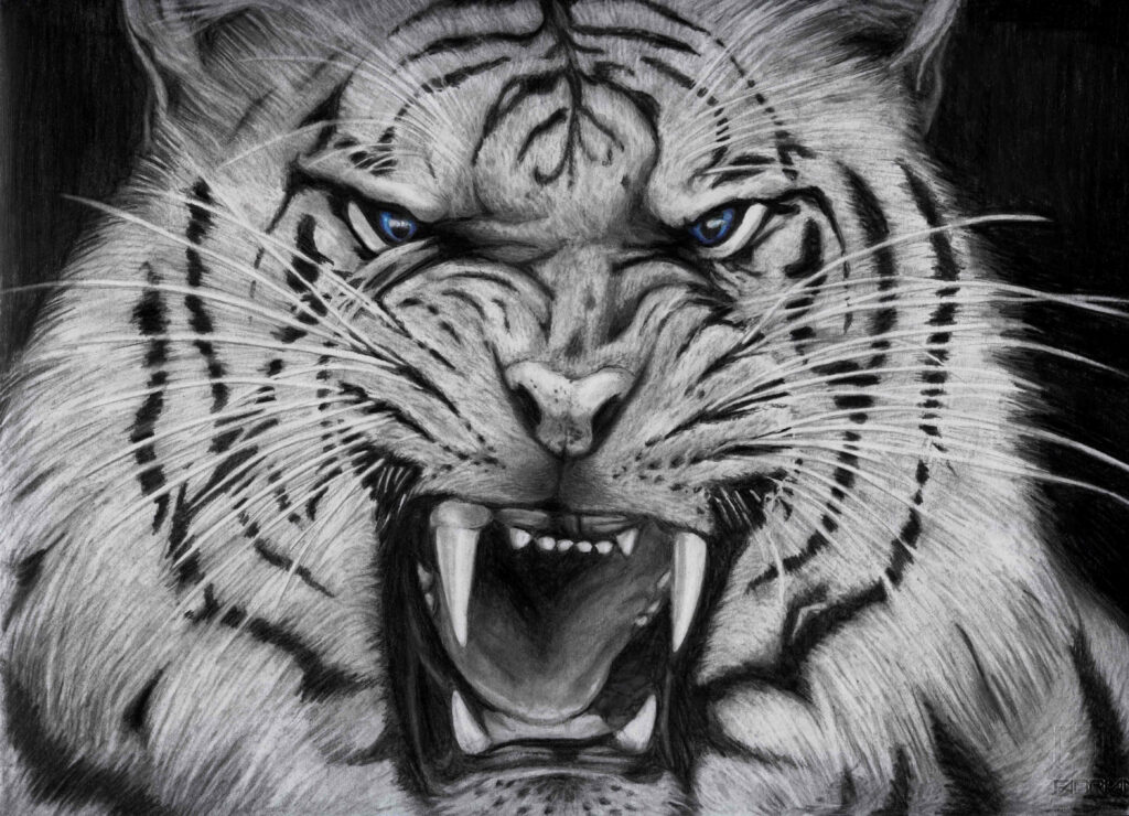 Majestic Charcoal Tiger Wallpaper: Fierce Eyes & Detailed Fur