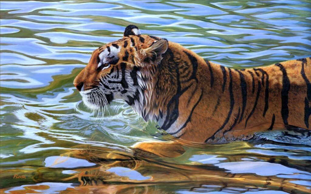 Majestic Tiger Swimming: Striking Stripes in Clear Water Wallpaper