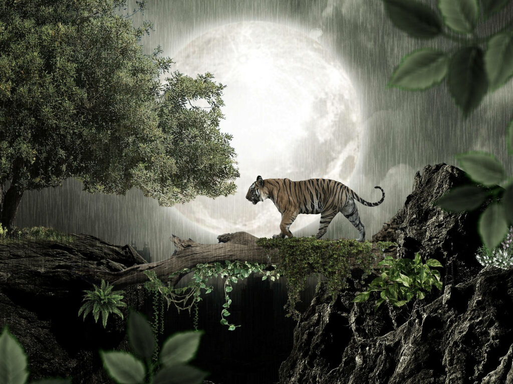 Majestic Tiger Walking on Log Under Full Moon - Jungle Wallpaper