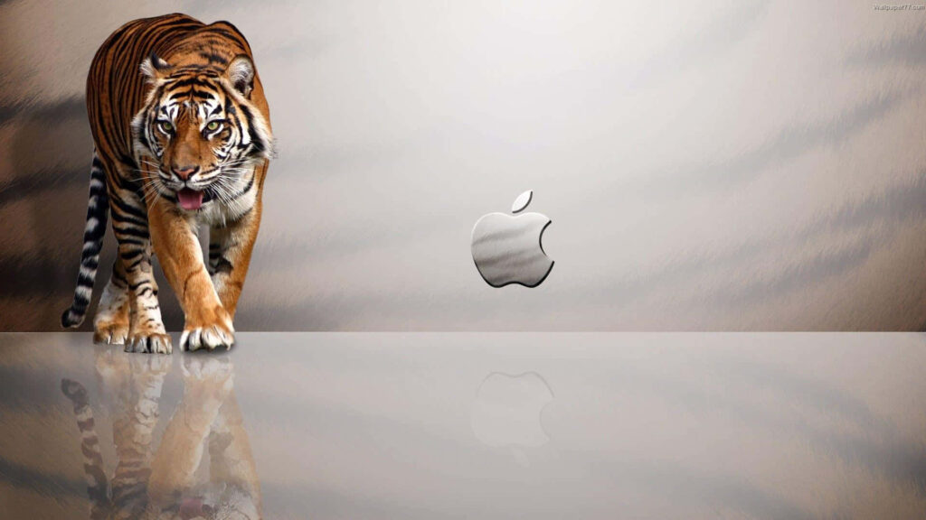 Majestic Tiger Wallpaper with Apple Logo on Reflective Surface
