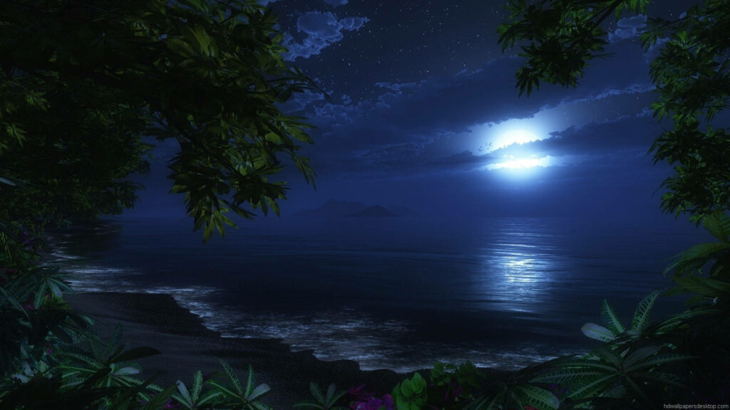 Moonlit Serenity: A Tranquil Night Scene at Lake Shore - 1920x1080 HD Nature Background Wallpaper