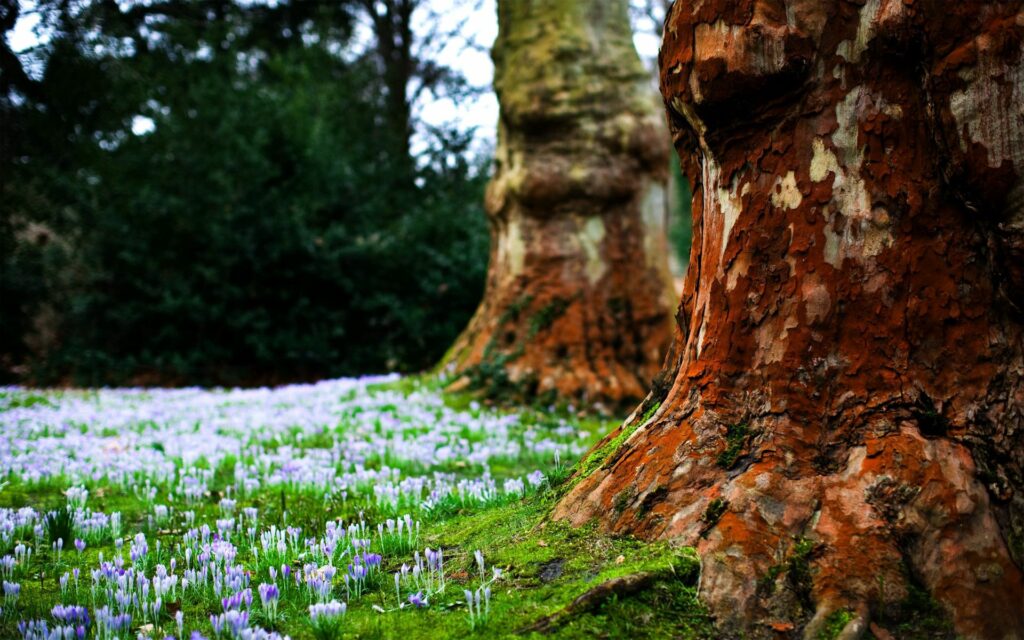Textured tree bark with green moss and purple sprouts vibrant spring nature wallpaper background
