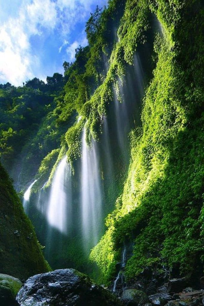 Majestic waterfall cascading mossy cliff lush jungle serene natural landscape wallpaper background