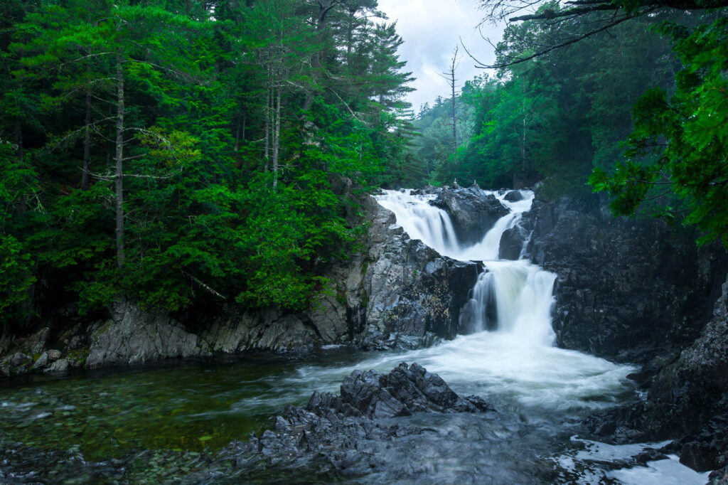 Majestic waterfall cascading over rocks into clear river surrounded by lush green forest wallpaper