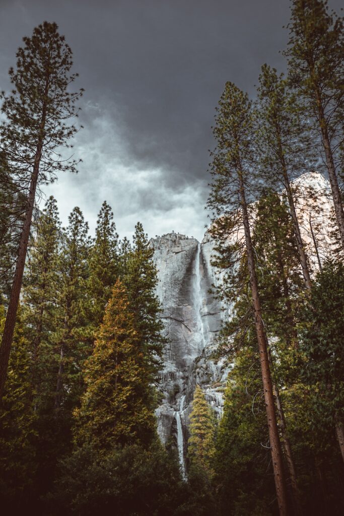 Majestic waterfall cascading down rugged rocks framed by pine trees under dramatic sky wallpaper