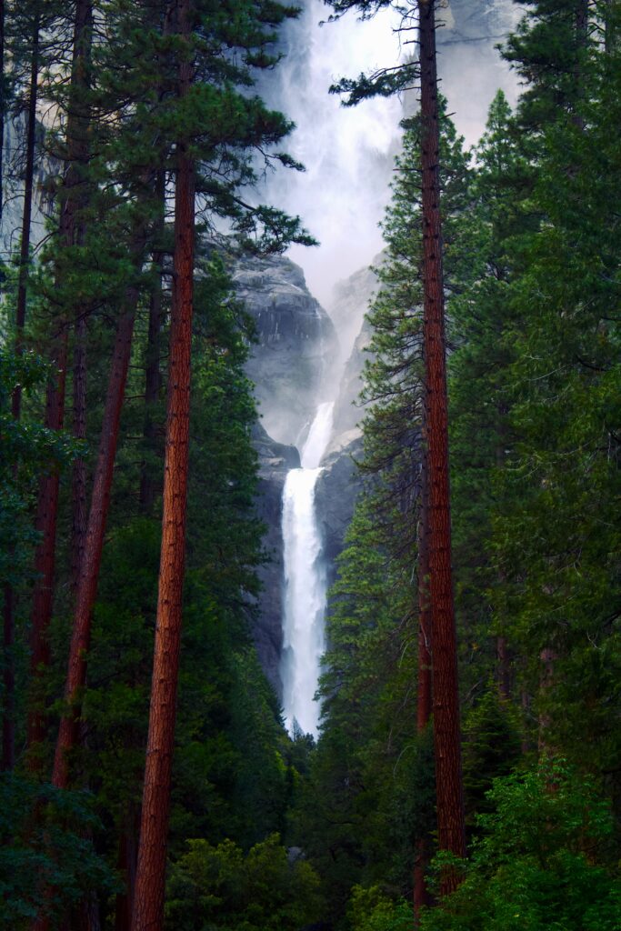 Majestic waterfall cascading over rocks surrounded by pine trees and lush dense forest greenery Wallpaper