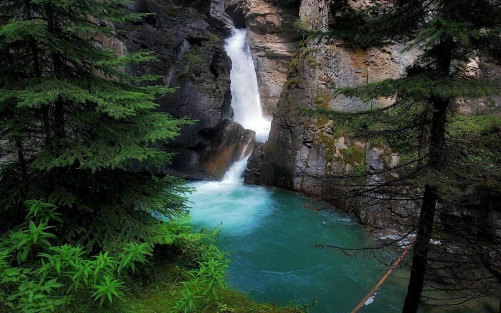 Majestic waterfall cascading into turquoise pool surrounded by mossy rocks and dense fir trees Wallpaper
