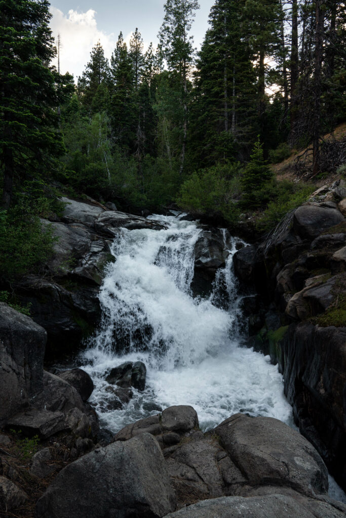 Waterfall cascading over rugged rocks surrounded by dense dark green forest in natural landscape Wallpaper