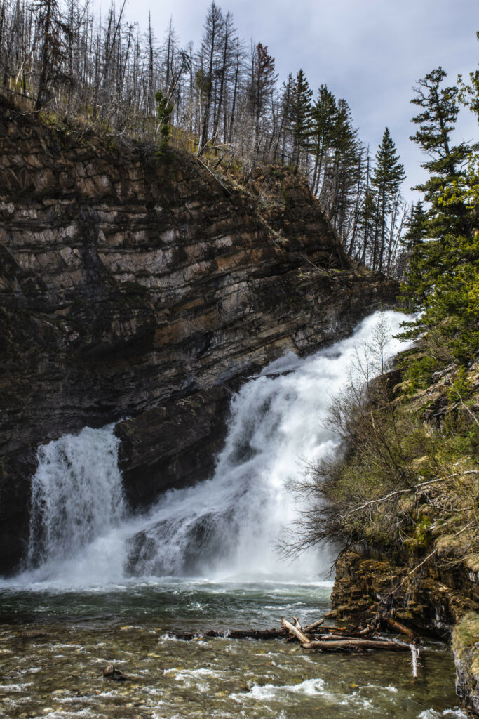 Powerful waterfall cascading over rugged rocks into clear river surrounded by lush forest trees Wallpaper