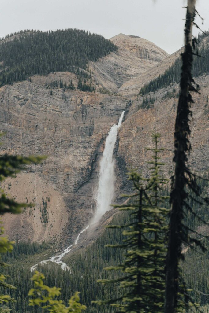 Majestic waterfall cascading down rocky cliffs with evergreen forest and mountain background Wallpaper