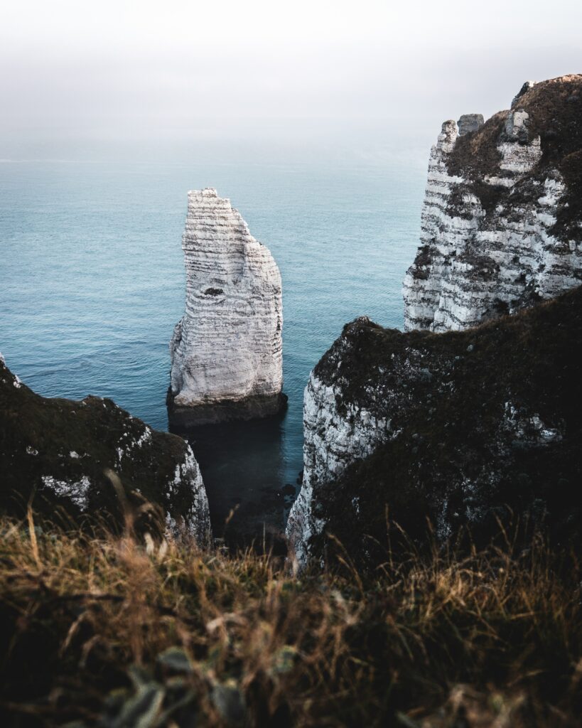 Dramatic white cliffs rise above calm blue sea with earthy grass foreground wallpaper background